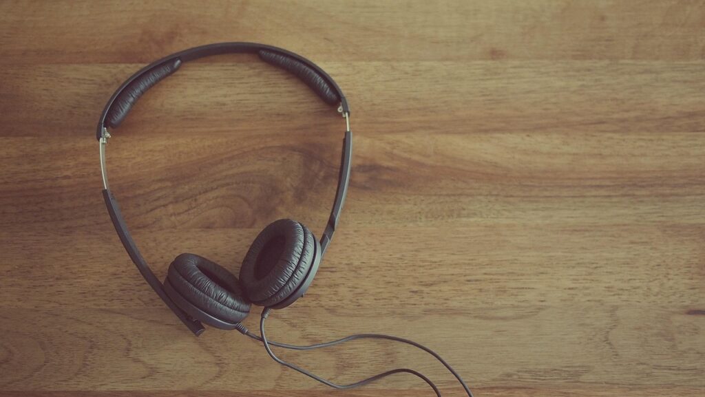Black wired headphones|best wireless speakers & headphones in karnal