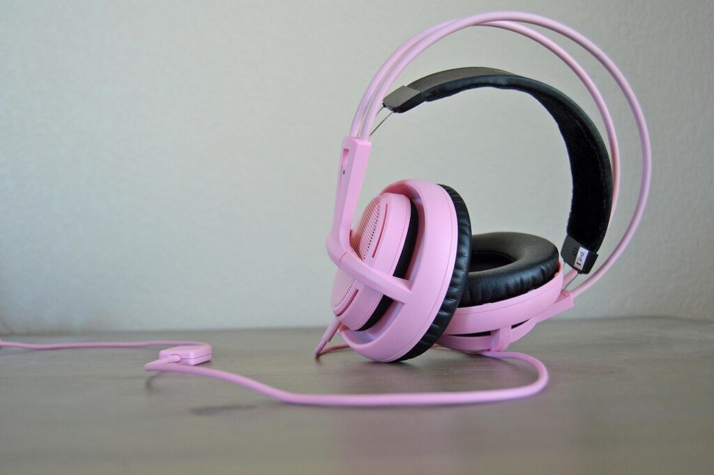 Dhunx Headphones- wired bass