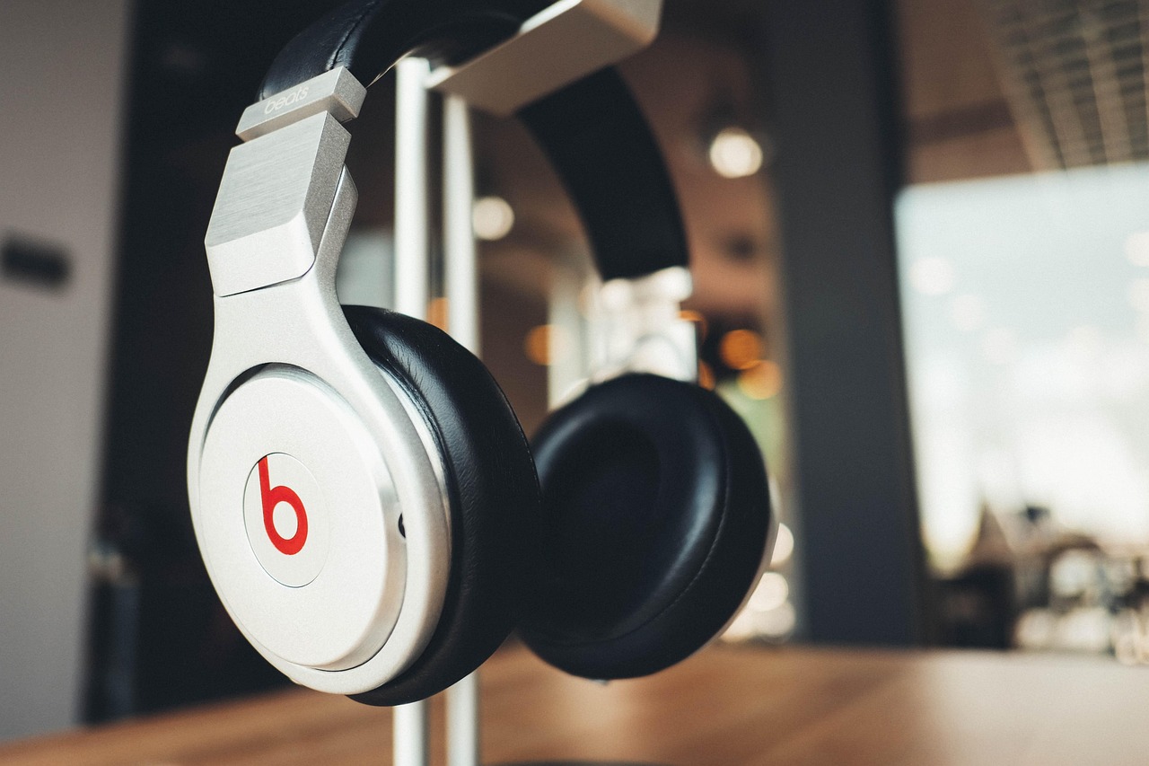 Best wireless speakers & headphones in karnal-dhunx